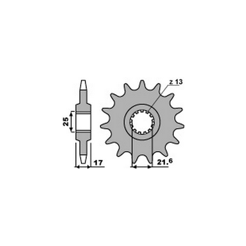 PBR Anti-noise steel chain sprocket 520 2042 4080002516