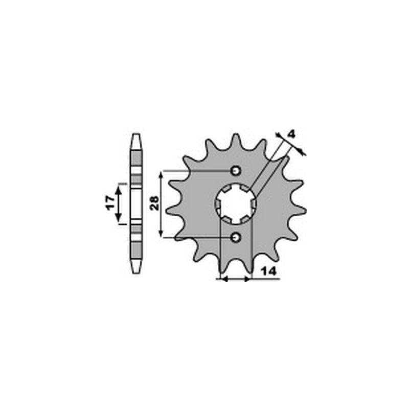 PBR Steel chain sprocket 428 2118 46001353VAR