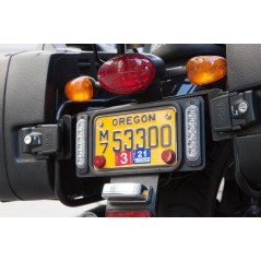 DENALI Brake light for motorcycle adaptable to the fender B6 30500083