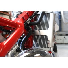 AXP Aluminum radiator guard 4411489