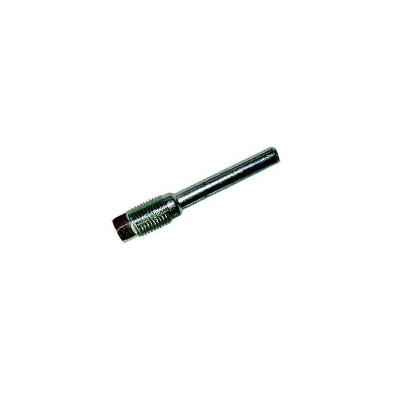 BIHR Brake caliper pins 55 MM INOX 389001