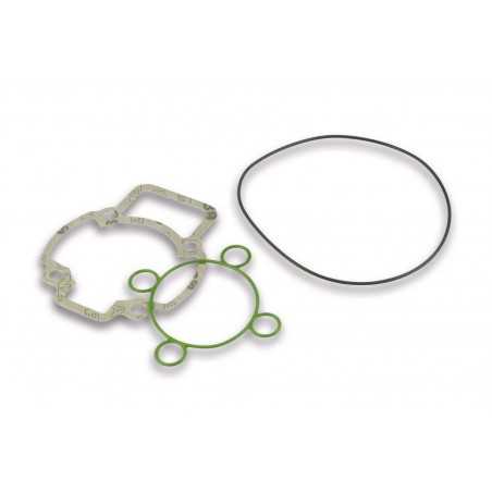 MALOSSI Complete gasket set for thermal group Ø 47 11300104