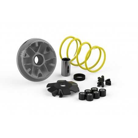 MALOSSI Variador MULTIVAR 12200018