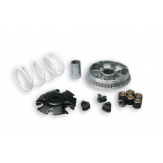 MALOSSI DRIVE MULTIVAR 12200030