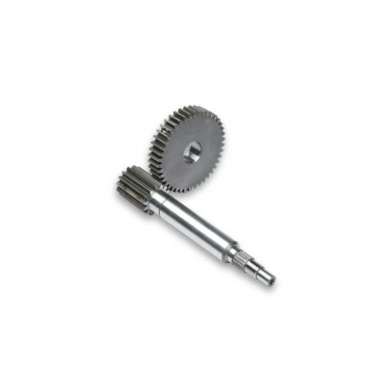 MALOSSI Desarrollos primarios HTQ Z14/42 Ø17MM 19400002
