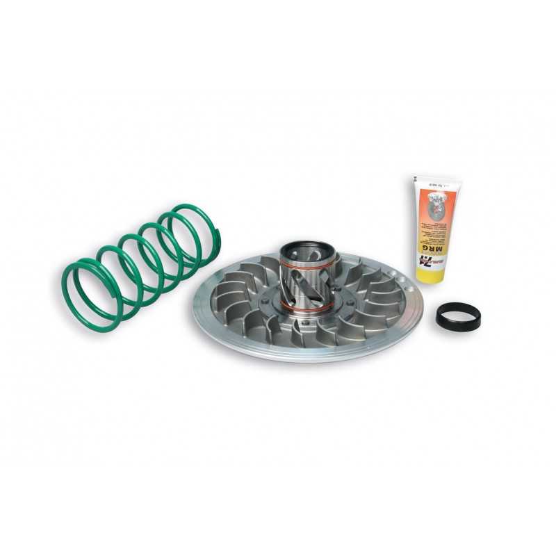 MALOSSI Corrector de par TORQUE DRIVER 19600006