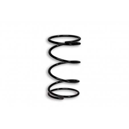 MALOSSI Reinforced racing clutch spring EXTRA + 116 2916111.B0 38506