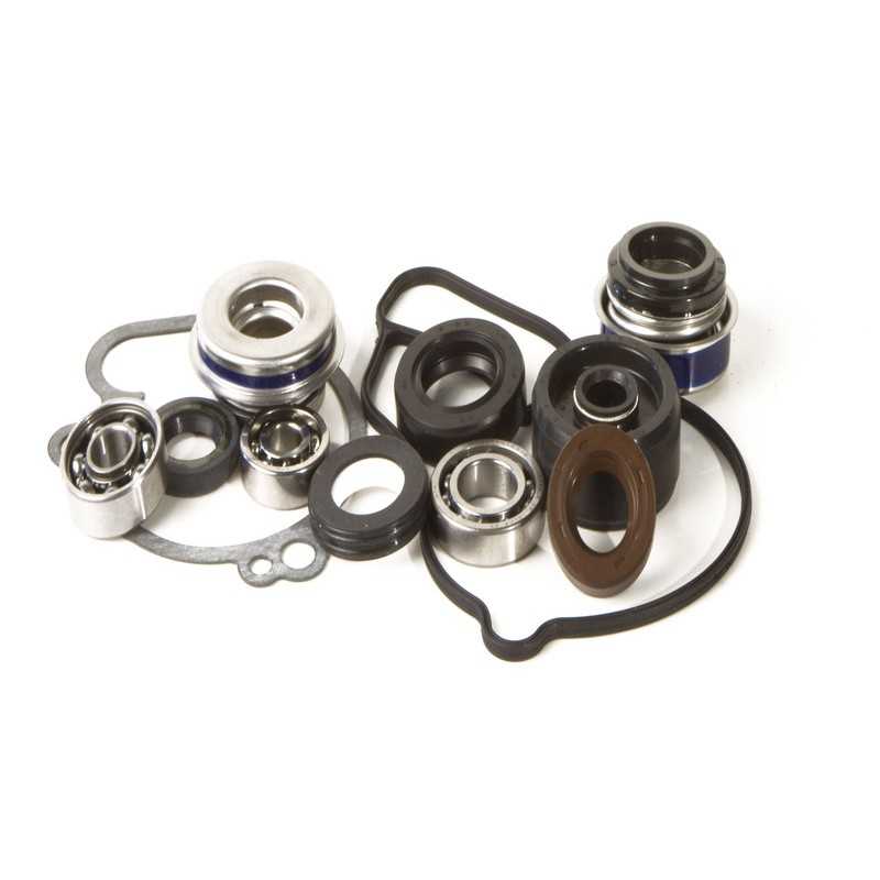 HOT RODS Kit reparación bomba de agua WPK0066 93463