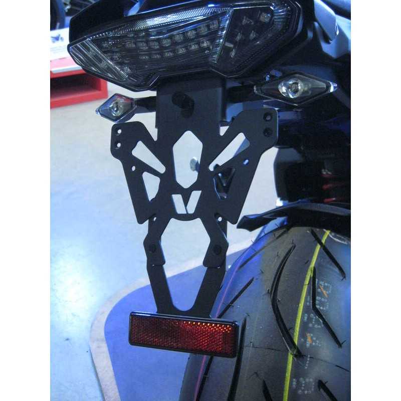 Plate support license holder