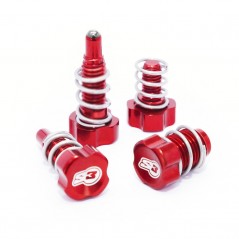 S3 Brake lever adjuster BRAKTEK/AJP 4150001003