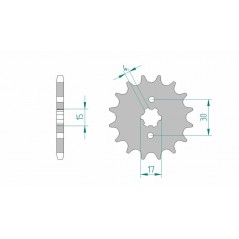 AFAM Standard steel pinion 20107 428 1074501001