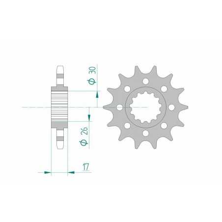 AFAM Standard steel pinion 20615 525 1075192001