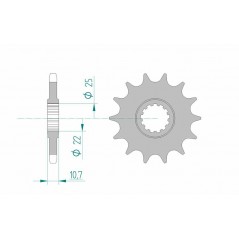 AFAM Standard steel pinion 21606 525 1075601001