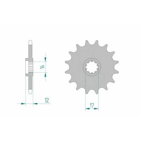 AFAM Standard steel pinion 58102 420 1077112001