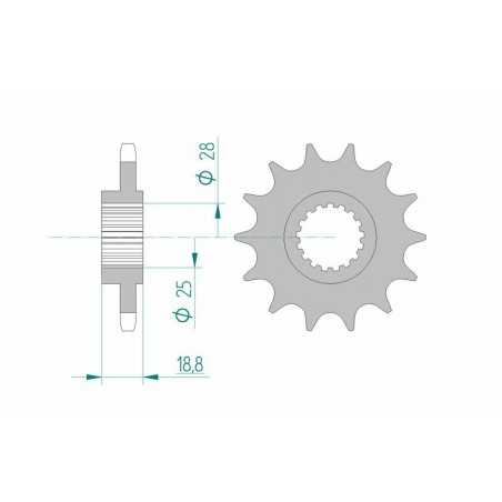 AFAM Standard steel pinion 61600 525 1077121001