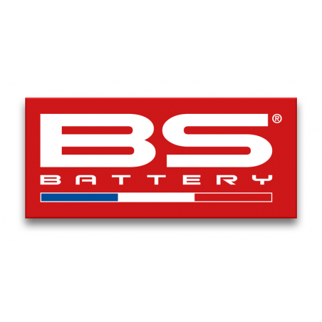 BS BATTERY Pegatina bandera 300X131MM 1109468