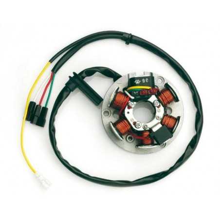 TOP PERFORMANCES long alternator coil stator AM6 VOLANT 1080481