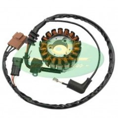 TOP PERFORMANCES Stator bobina alternador 1080487