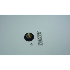 TOURMAX Kit reparación bomba de gasolina 1016543