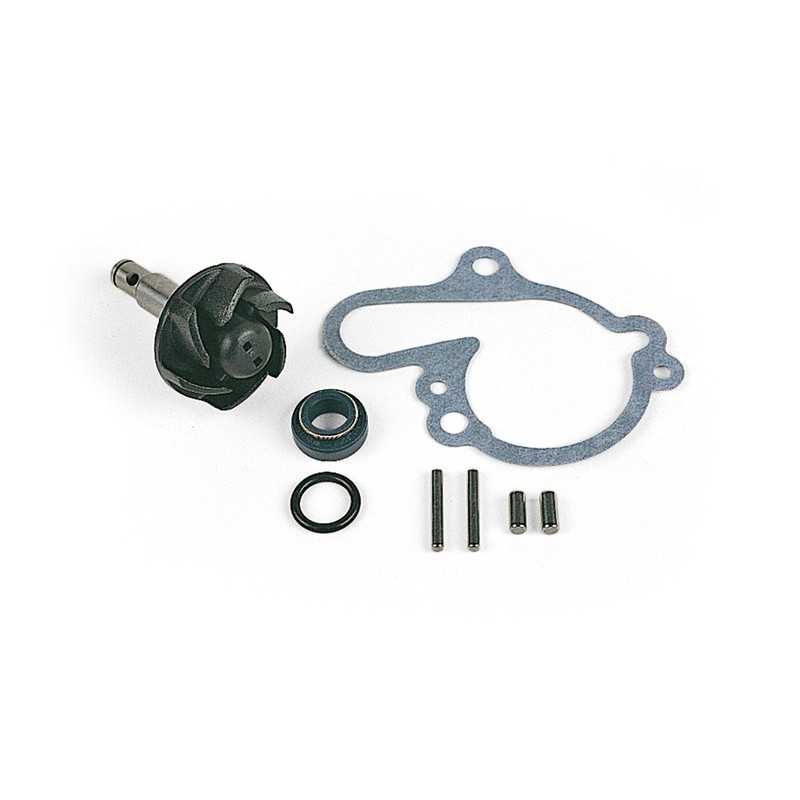 TOP PERFORMANCES Water pump repair kit MINARELLI AM6/AM3 1018542