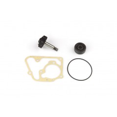 TOP PERFORMANCES Kit reparación bomba de agua MINARELLI 125 4T 1018545