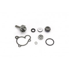 TOP PERFORMANCES Water pump repair kit 1018546