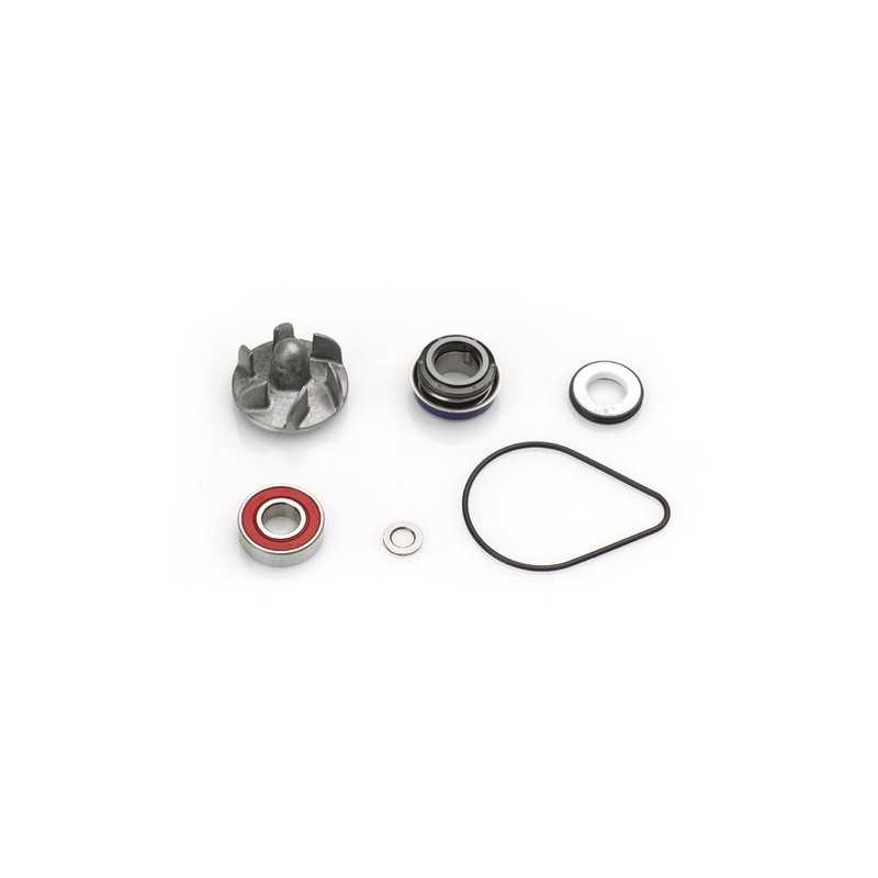 TOP PERFORMANCES Water pump repair kit 1018549