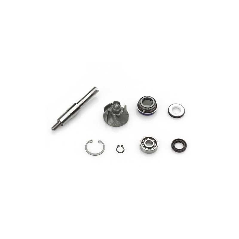 TOP PERFORMANCES Water pump repair kit 1018550