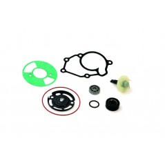 TOP PERFORMANCES Water pump repair kit 1018557