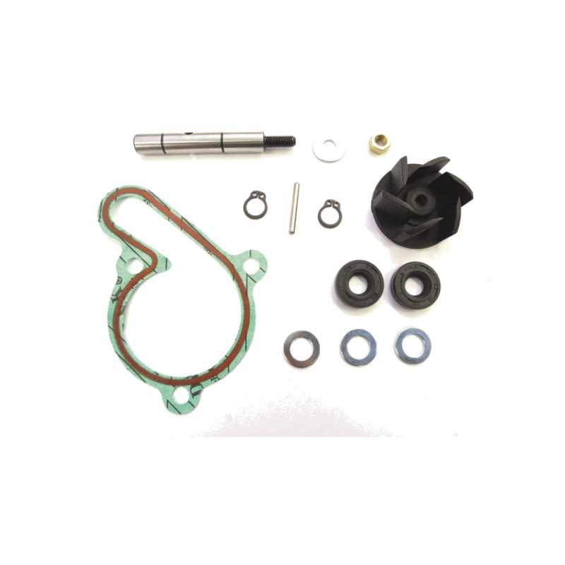 TOP PERFORMANCES Water pump repair kit 1018559