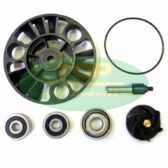 TOP PERFORMANCES Water pump repair kit 125/200CC EURO 3 1018560