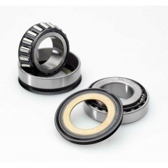 BUZZETTI Kit rodamientos columna de direccion 1043363