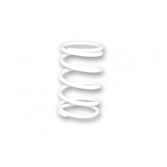 MALOSSI Muelle de compresión para variador 68x120 MM/ Ø5 2 9 9K 1109113