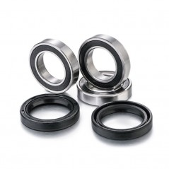 FACTORY LINKS KIT, BEARINGS, WHEEL, REAR 1090938