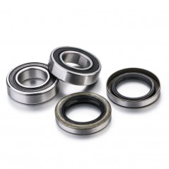 FACTORY LINKS KIT, BEARINGS, WHEEL, REAR 1090939