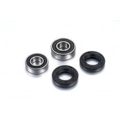 FACTORY LINKS KIT, BEARINGS, WHEEL, REAR 1090941