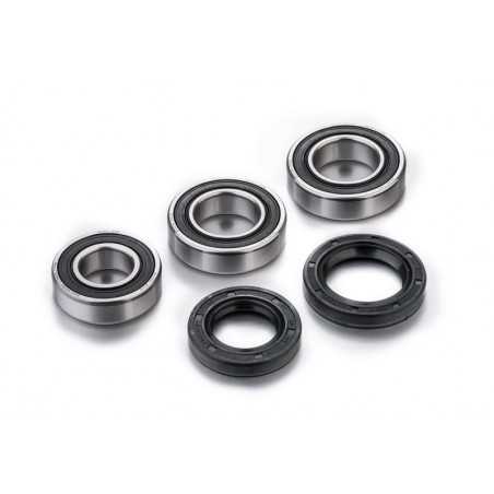 FACTORY LINKS KIT, BEARINGS, WHEEL, REAR 1091047