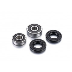 FACTORY LINKS KIT, BEARINGS, WHEEL, REAR 1091051
