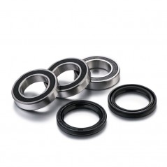FACTORY LINKS KIT, BEARINGS, WHEEL, REAR 1091052