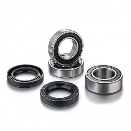 FACTORY LINKS KIT, BEARINGS, WHEEL, REAR 1091053