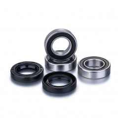 FACTORY LINKS KIT, BEARINGS, WHEEL, REAR 1106592