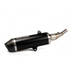 MALOSSI Escape aluminio/carbono RX 1109161