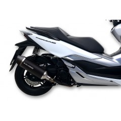 MALOSSI Aluminum/carbon exhaust RX 1109165