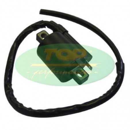 TOP PERFORMANCES IGNITION COIL 1080440