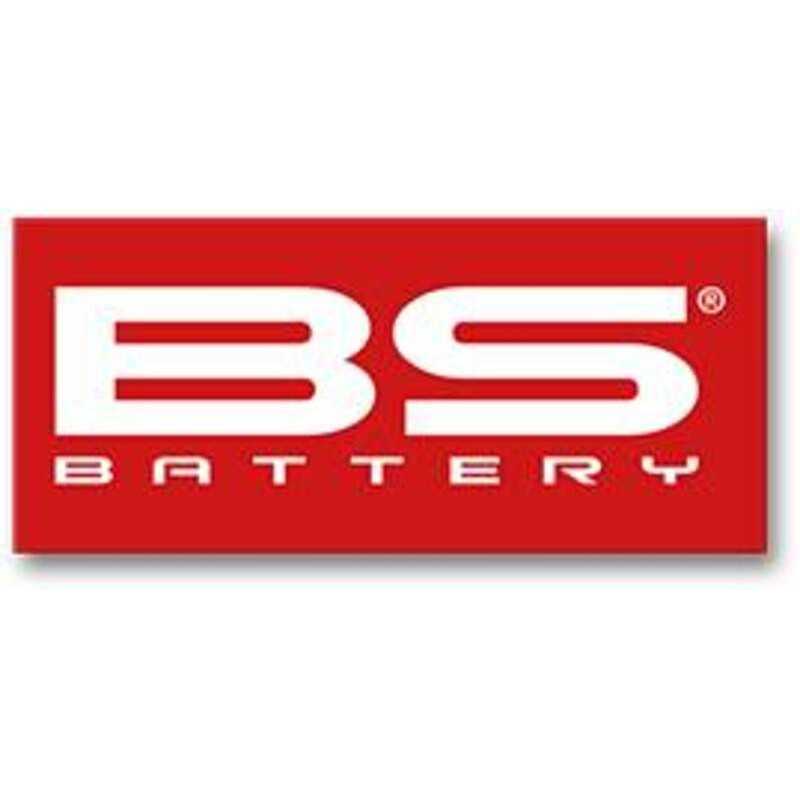 BS BATTERY Pegatina pequeña (50U) 1109466