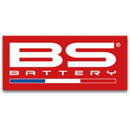 BS BATTERY Pegatina pequeña bandera francesa (50U) 1109467