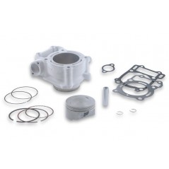 MALOSSI Cilindro motor Ø67 MM 1020682