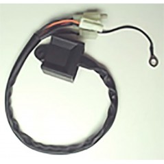 TECNIUM electronic control unit CDI 1080633