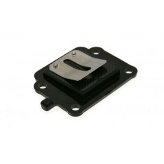 B1 Caja láminas carbono admisión 1020264