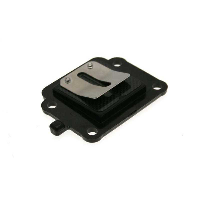 B1 Caja láminas carbono admisión 1020264